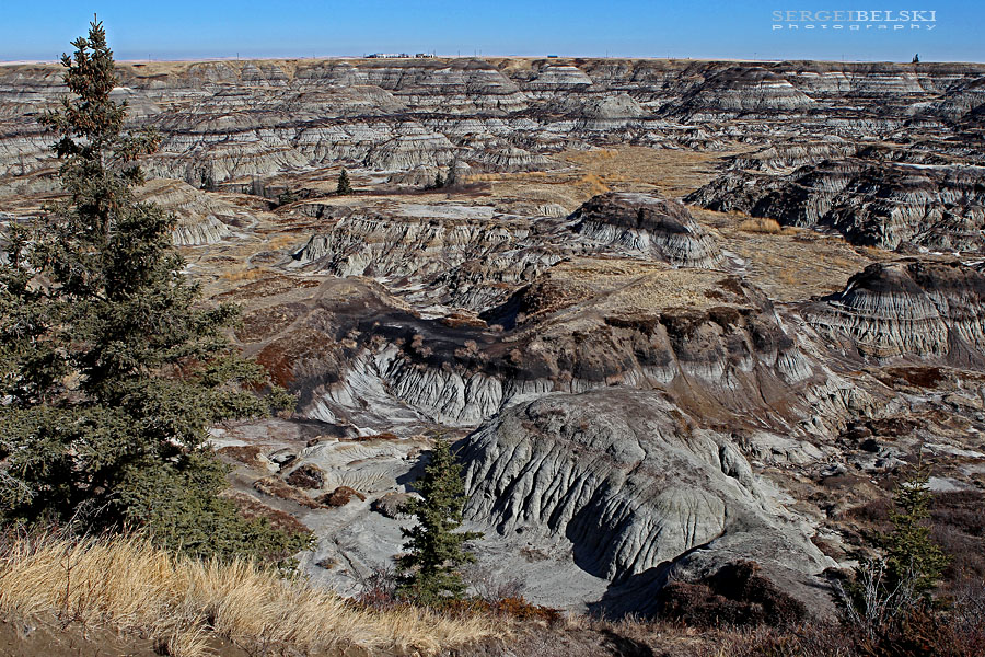 vespa adventures sergei belski photo