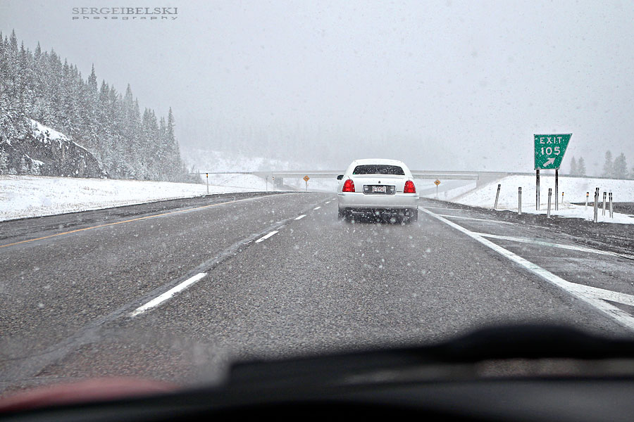 wedding sergei belski photo