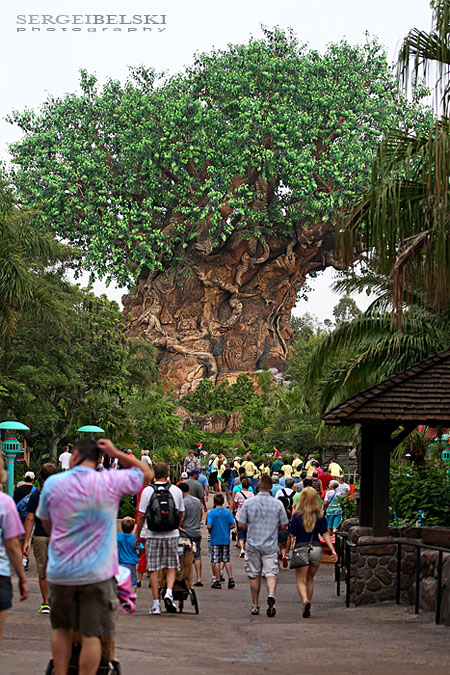 florida vacation sergei belski photo