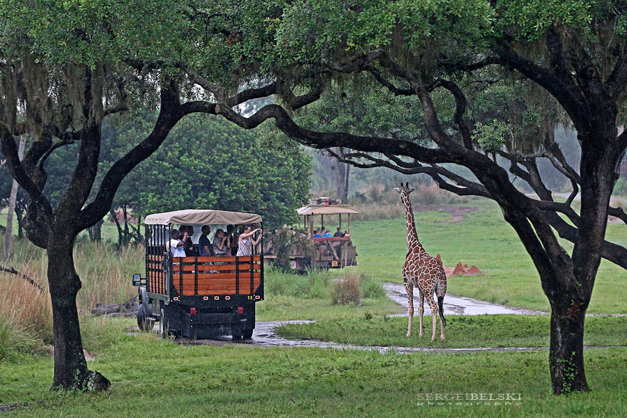 florida vacation sergei belski photo