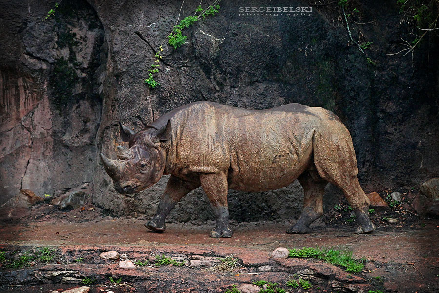 florida vacation sergei belski photo