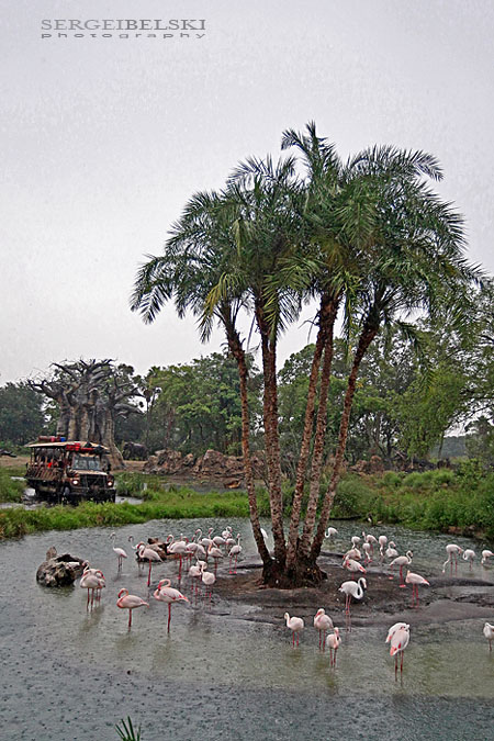 florida vacation sergei belski photo