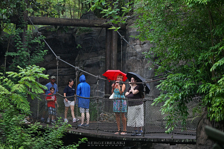 florida vacation sergei belski photo