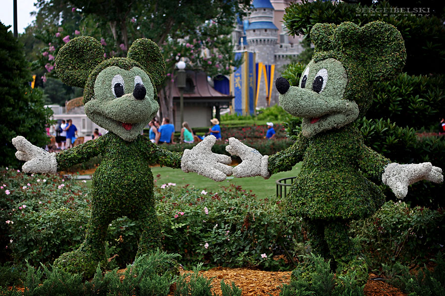 florida vacation sergei belski photo