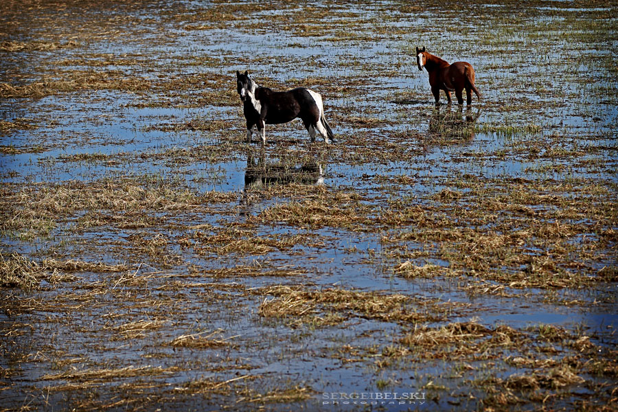 vespa adventures sergei belski photo