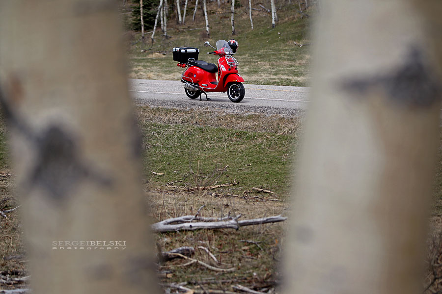 vespa adventures sergei belski photo