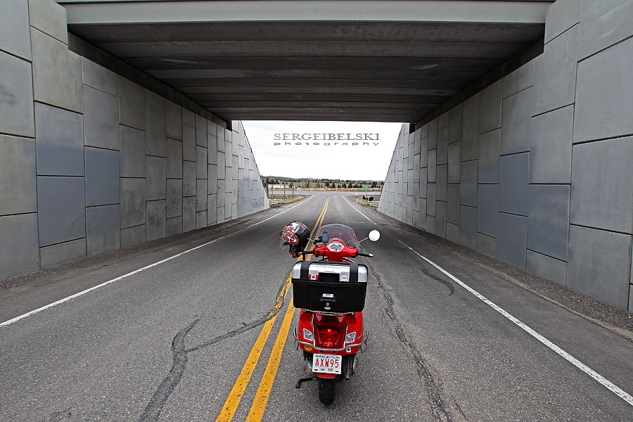 vespa adventures sergei belski photo
