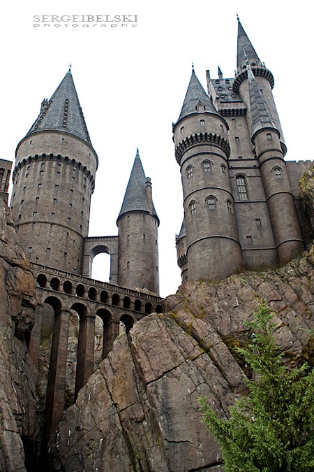 florida vacation sergei belski photo