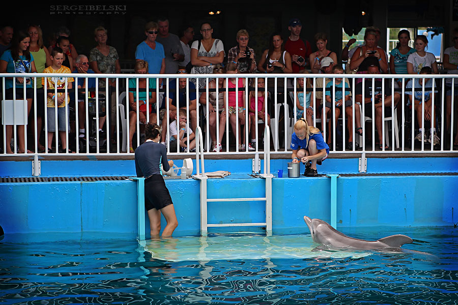 florida vacation sergei belski photo