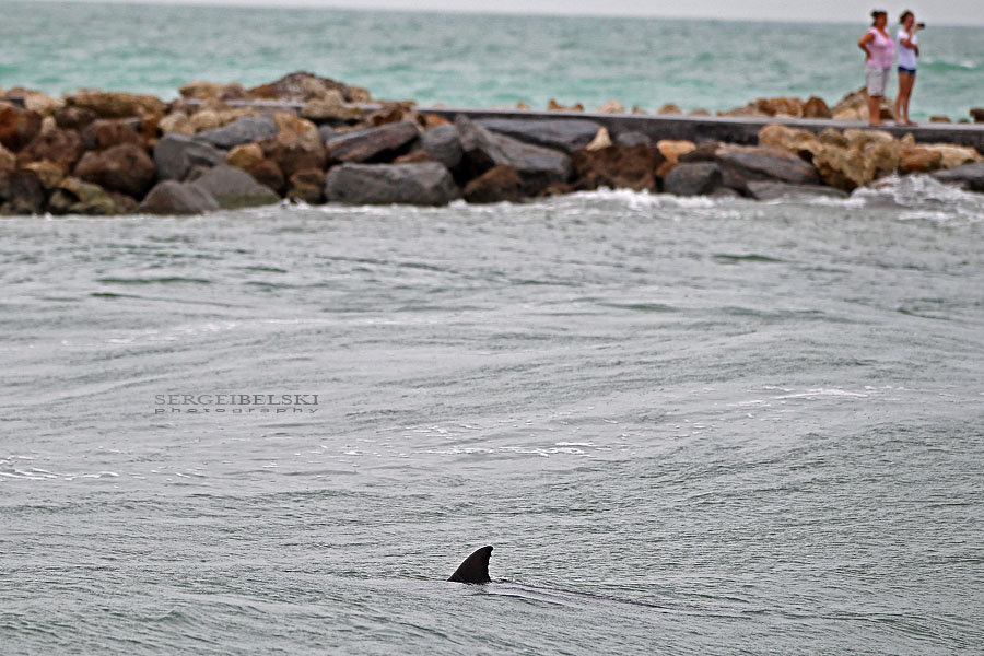 florida vacation sergei belski photo