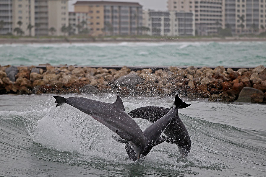 florida vacation sergei belski photo
