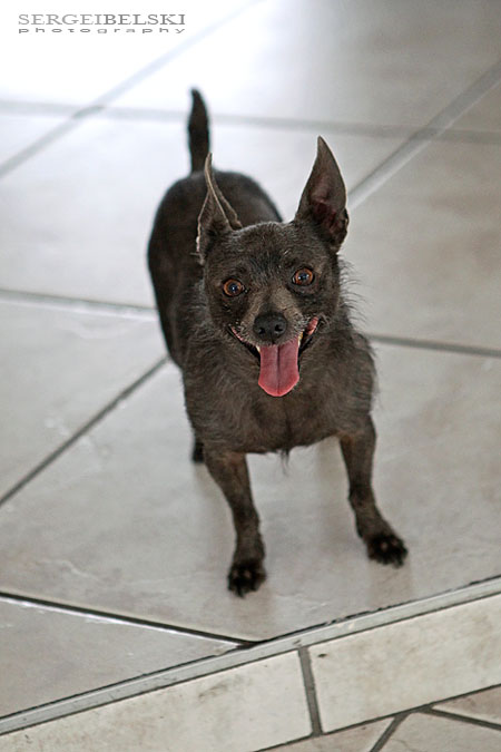 florida vacation sergei belski photo