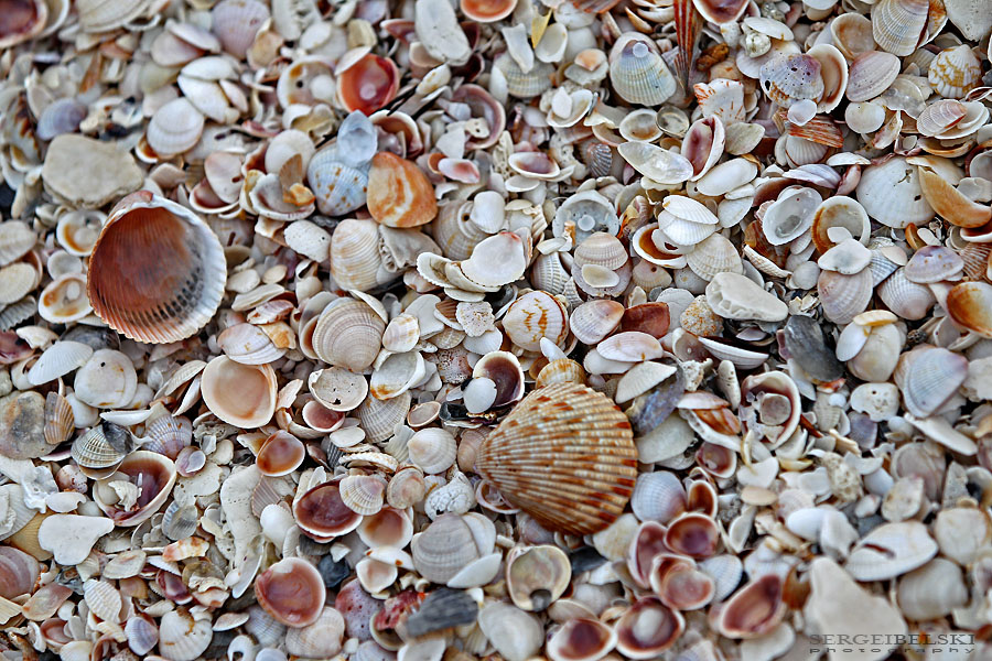 florida vacation sergei belski photo