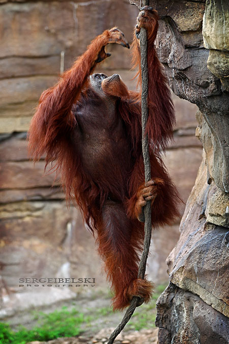 florida vacation sergei belski photo