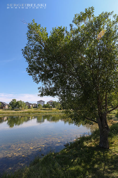 city of airdrie sergei belski photo