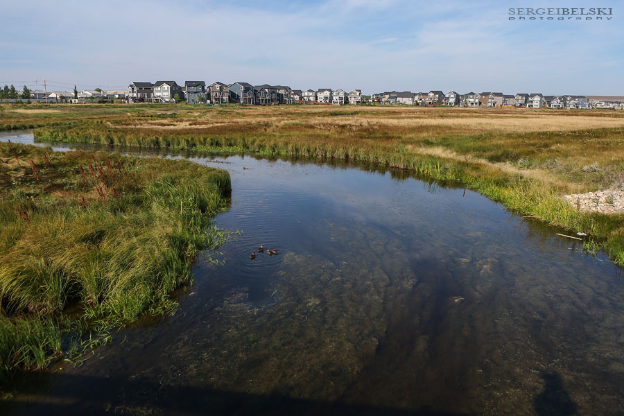 city of airdrie sergei belski photo
