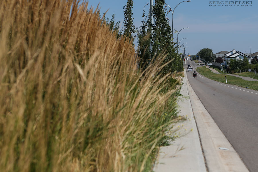 city of airdrie sergei belski photo