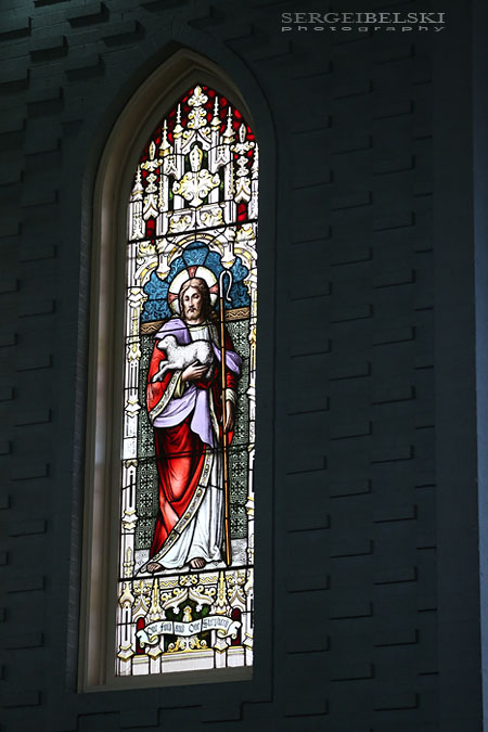 calgary wedding photo