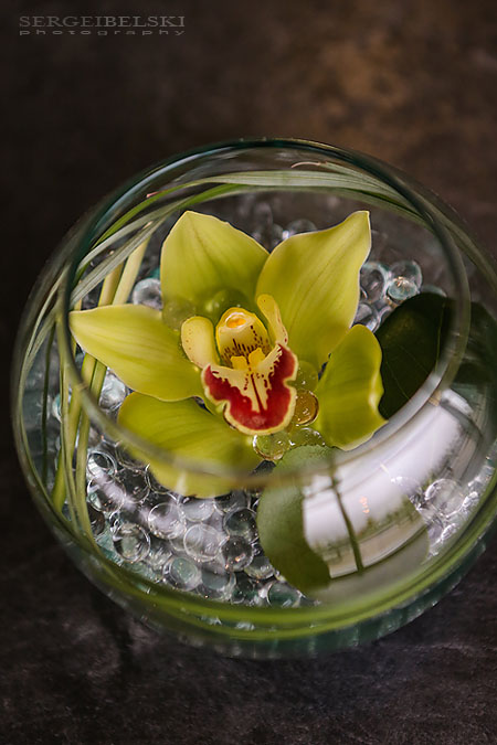 calgary event photographer sait sergei belski photo