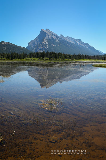 vespa adventures photo
