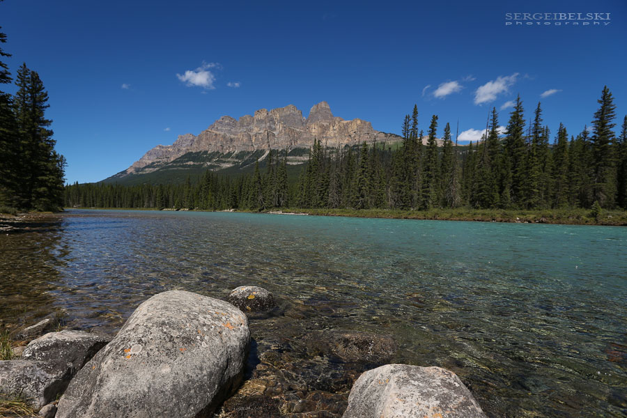 vespa adventures photo