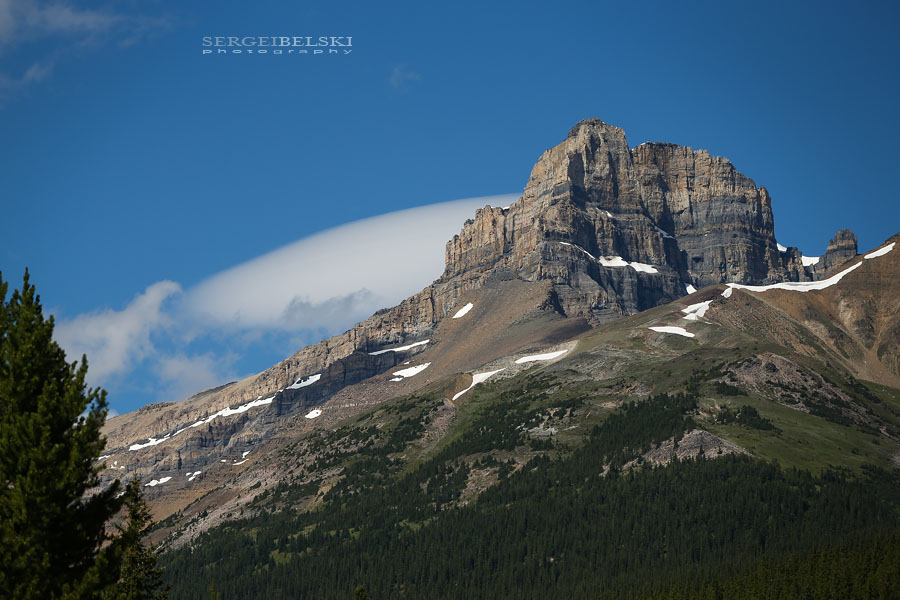 vespa adventures photo