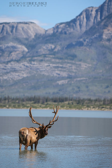 vespa adventures photo