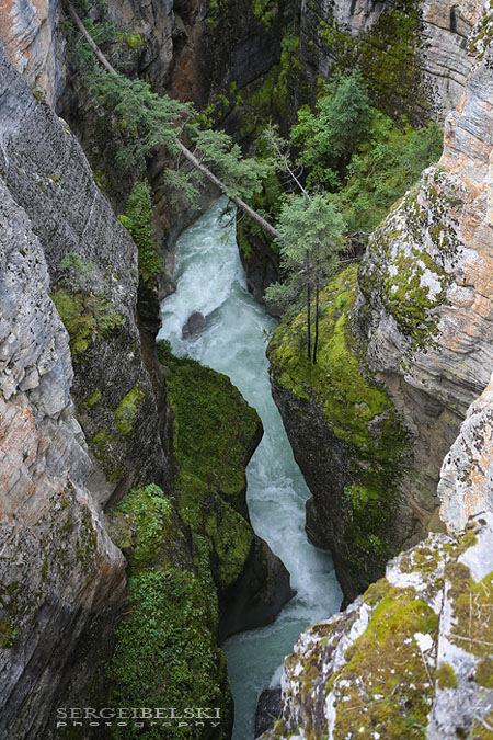 vespa adventures photo