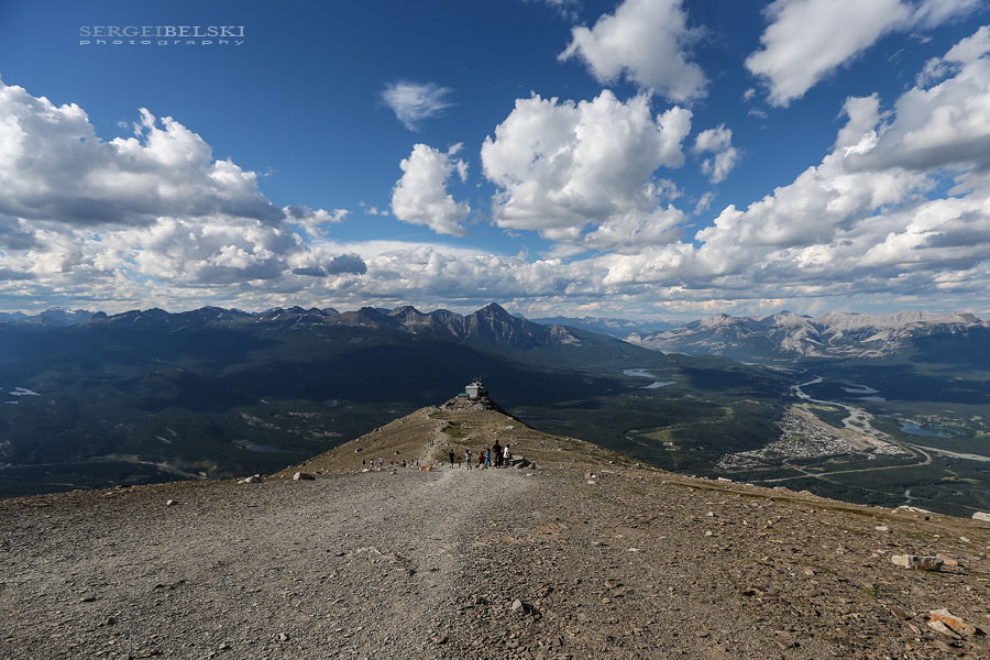 vespa adventures photo