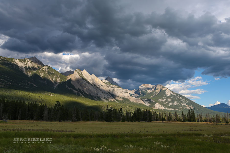 vespa adventures photo