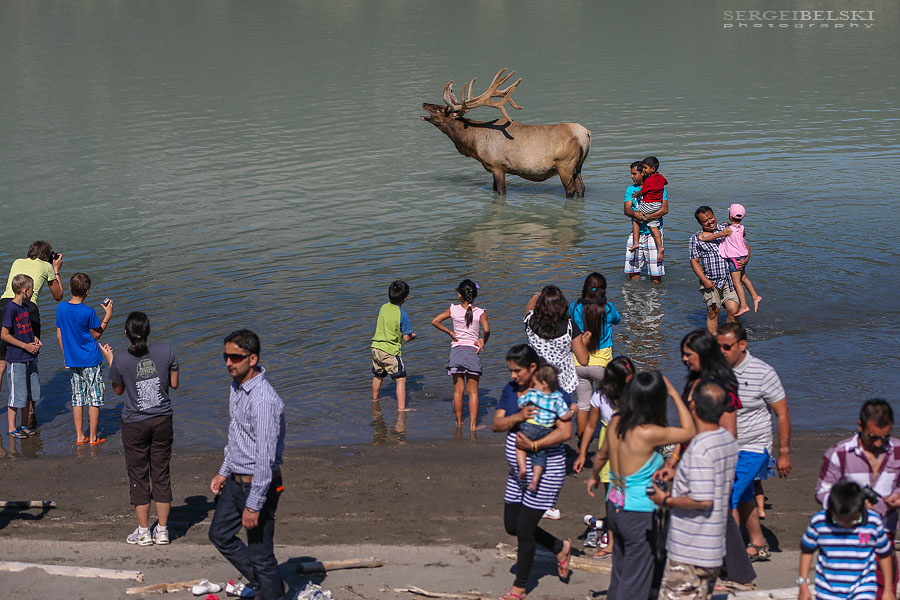 vespa adventures photo