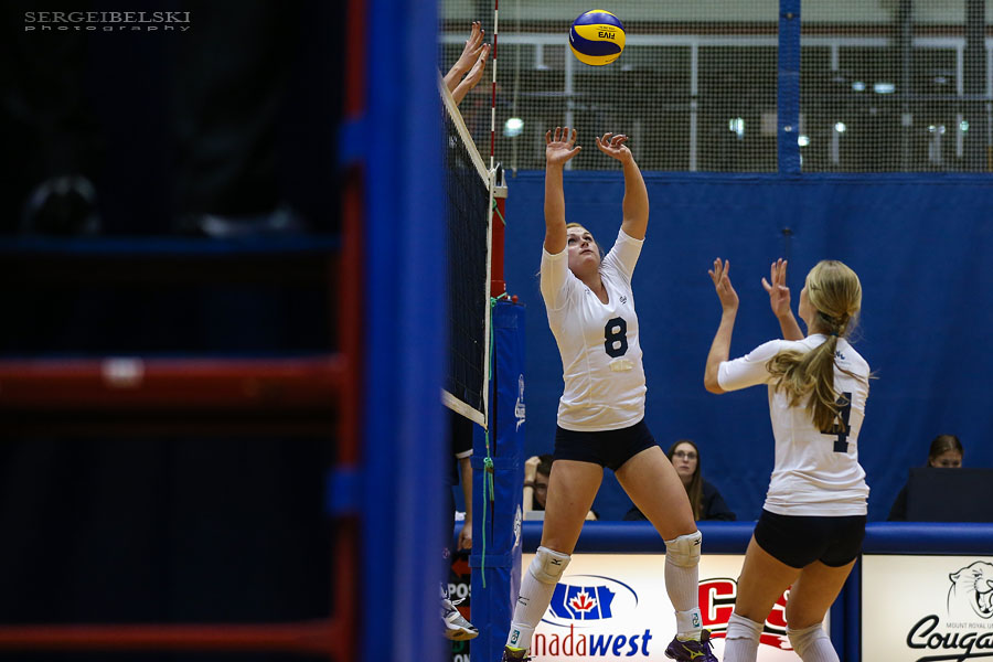 mount royal university volleyball sergei belski photo