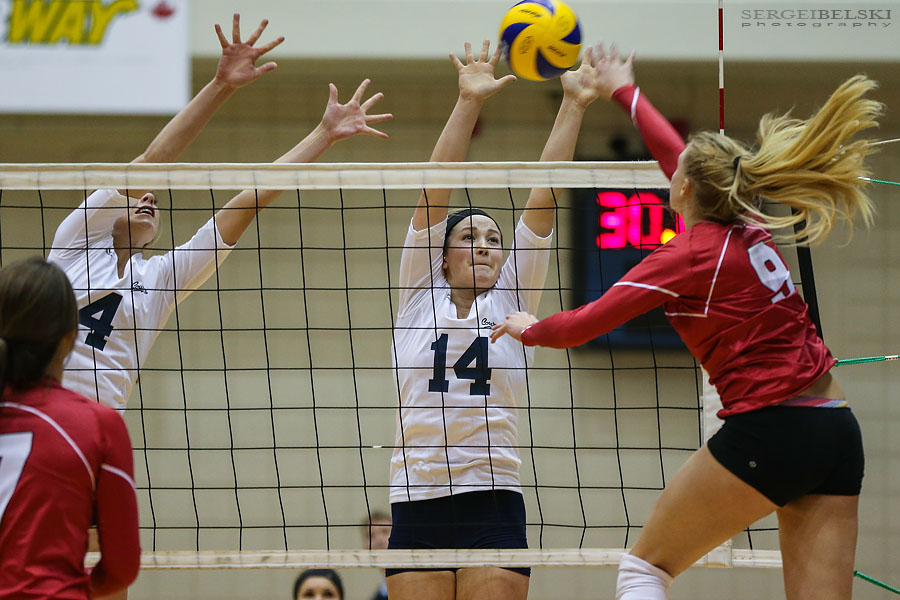 mount royal university volleyball sergei belski photo
