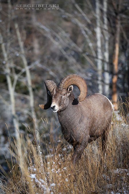 family trip radium sergei belski photo