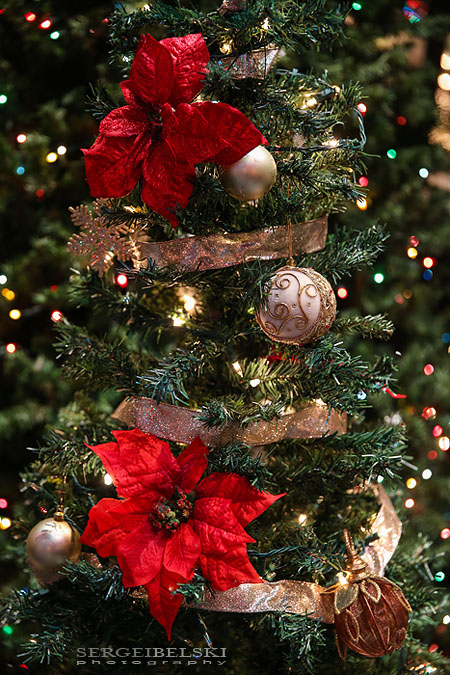 christmas party sergei belski photo