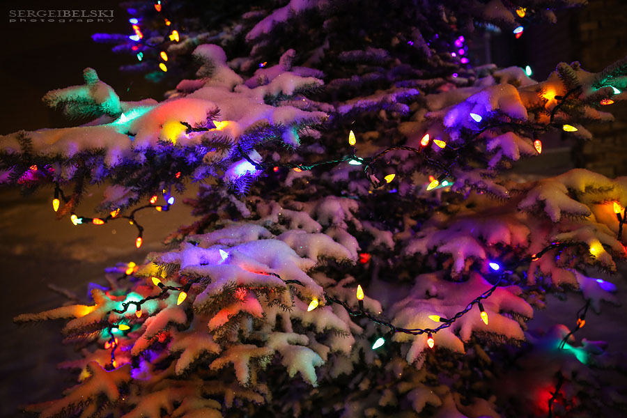 personal christmas lights sergei belski photo