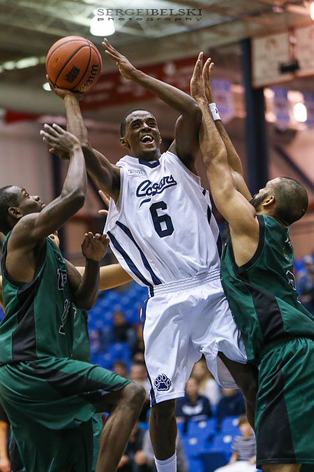mount royal university basketball sergei belski photo