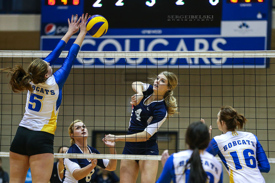 mount royal university volleyball sergei belski photo