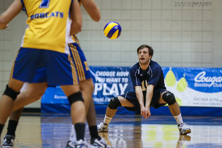 mount royal university volleyball sergei belski photo