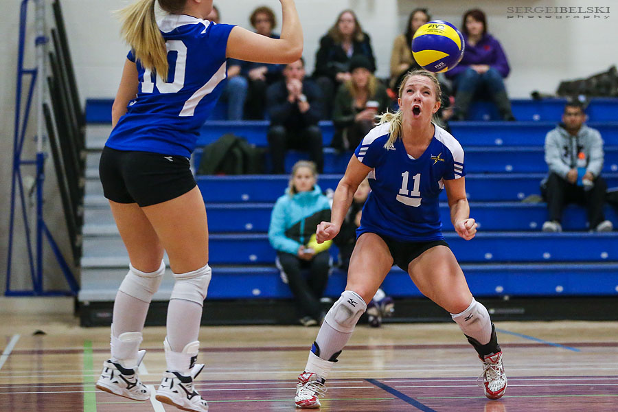 stmu volleyball sergei belski photo
