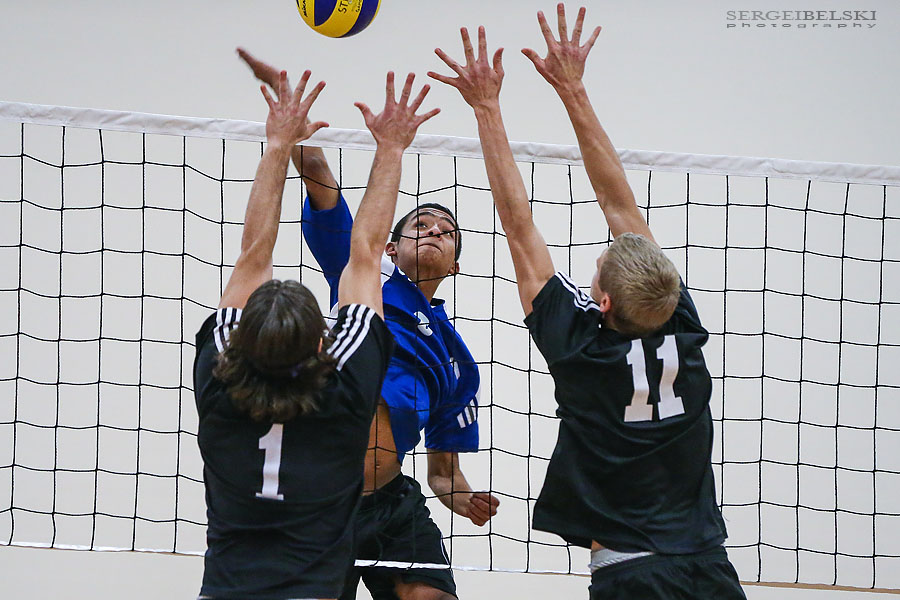 stmu volleyball sergei belski photo