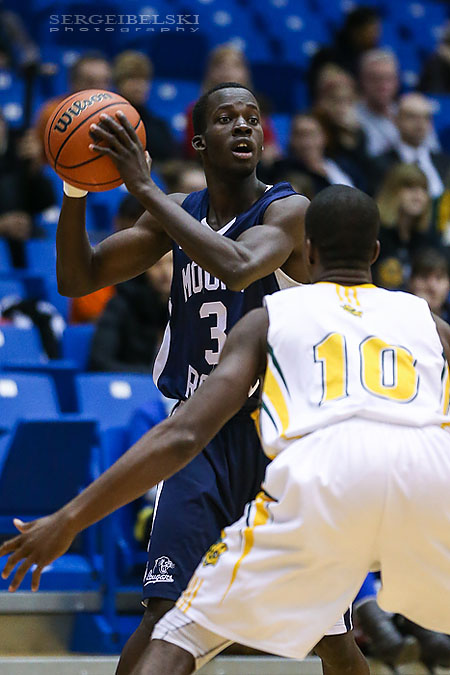 mount royal university basketball sergei belski photo