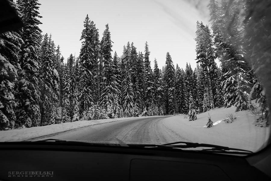 calgary photographer banff photo