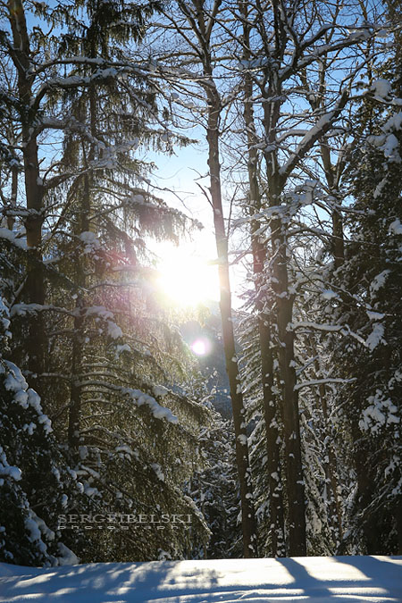 calgary photographer banff photo