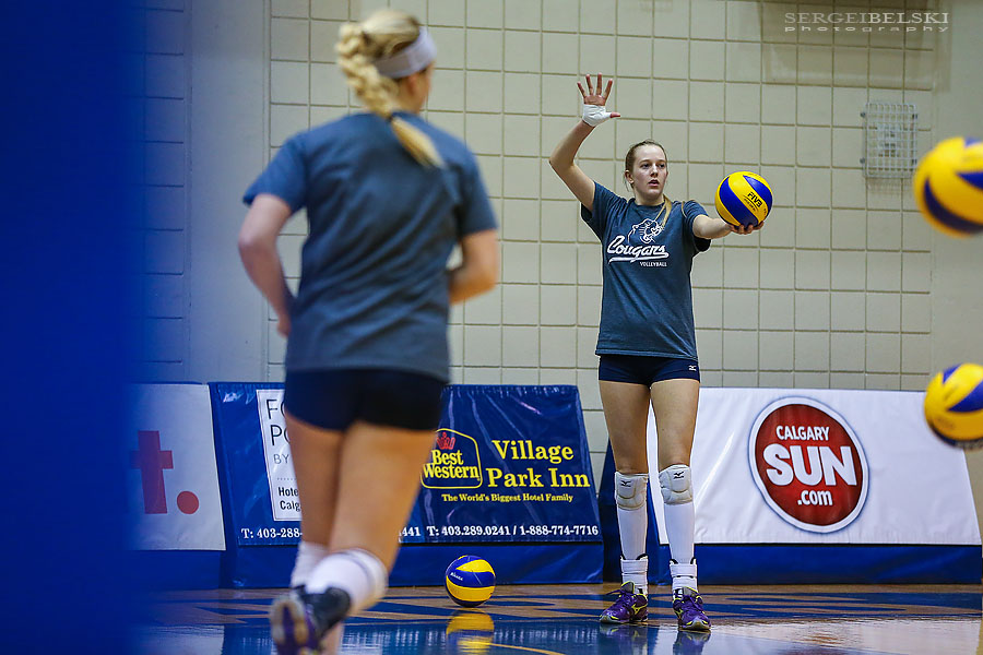 mount royal university volleyball sergei belski photo