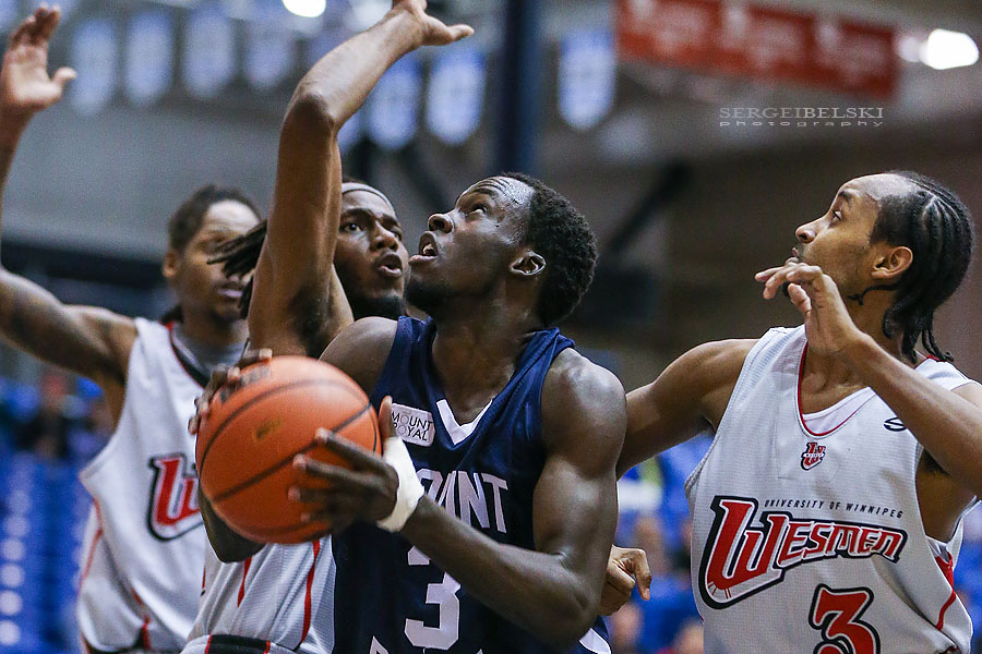 mount royal university basketball sergei belski photo