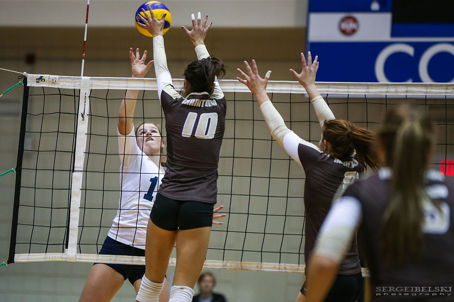 mount royal university volleyball sergei belski photo