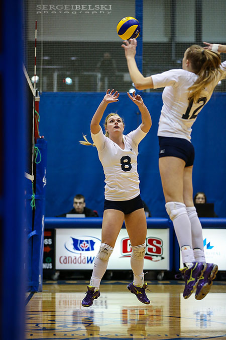 mount royal university volleyball sergei belski photo