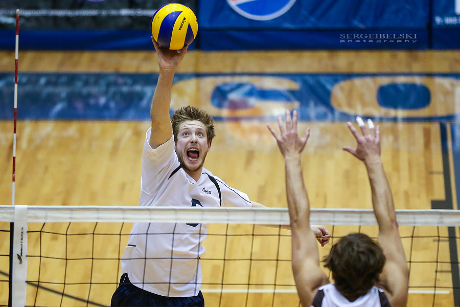 mount royal university volleyball sergei belski photo