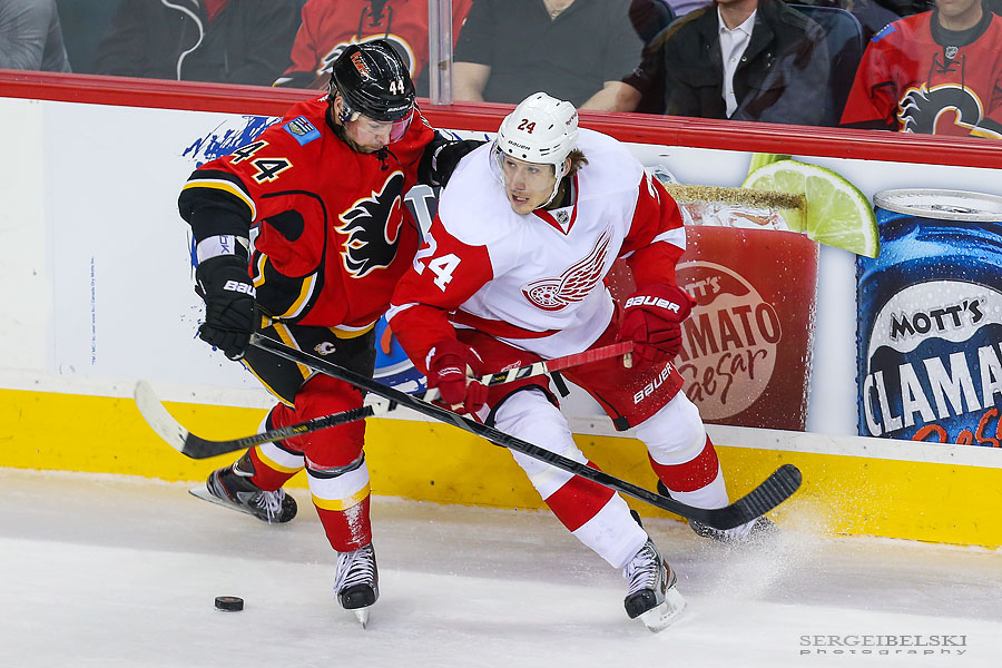 nhl hockey calgary flames vs detroit red wings sergei belski photo